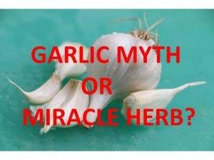 Garlic Herb A Medicinal Miracle Or Myth?